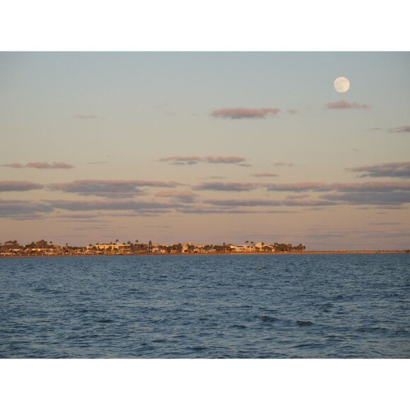 Canon Powershot A620 Digital Camera 7.1MP 4X Optical Zoom Video 2GB SD Card MINT - Picture 6 of 15